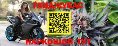 гидра Вышний Волочёк