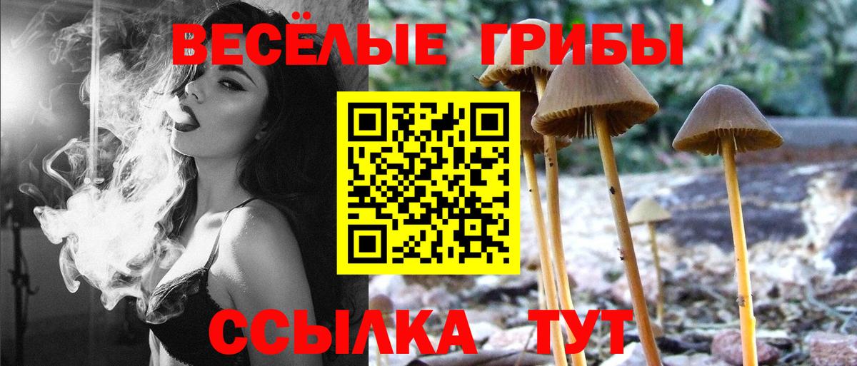 Сочи  Псилоцибиновые грибы мицелий  Вход с VPN  Псилоцибиновые грибы Psilocybine cubensis 